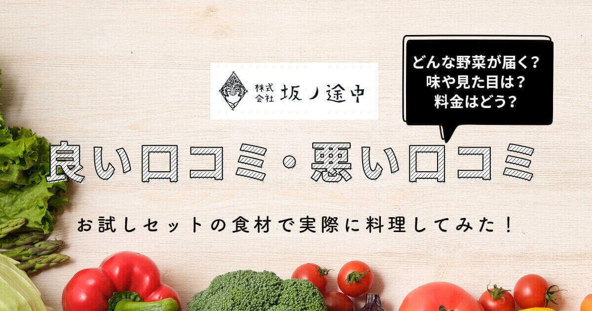 【購入体験談】坂ノ途中旬のお野菜セット・1回お届けの口コミ・評判レビュー